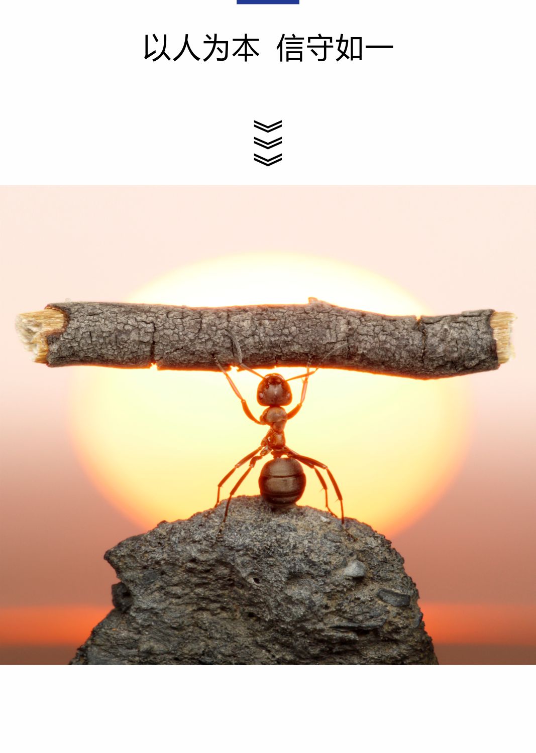 經(jīng)營理念-1 經(jīng)營理念-1