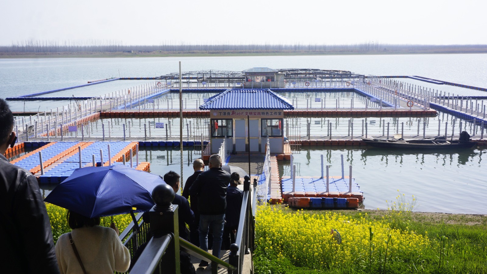 _DSC7315_看圖王 _DSC7315_看圖王